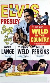 Wild in the Country poster