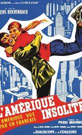 America as Seen by a Frenchman poster
