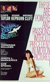 Suddenly, Last Summer poster