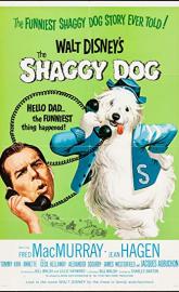 The Shaggy Dog poster