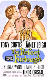The Perfect Furlough poster