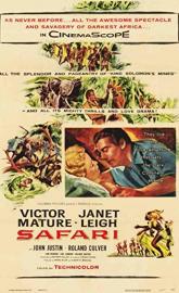 Safari poster
