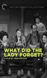 What Did the Lady Forget? poster