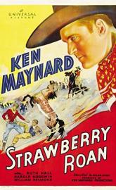 Strawberry Roan poster