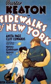 Sidewalks of New York poster