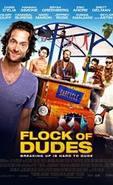Flock of Dudes poster