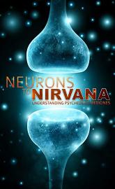 Neurons to Nirvana poster