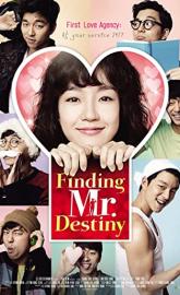 Finding Mr. Destiny poster