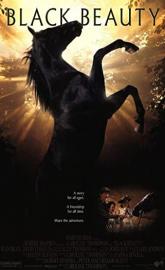 Black Beauty poster