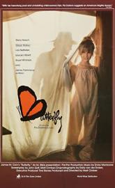 Butterfly poster
