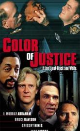 Color of Justice poster