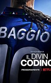 Baggio: The Divine Ponytail poster