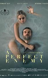 A Perfect Enemy poster