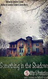 Something in the Shadows poster