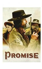 Promise poster