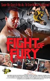 Fight of Fury poster