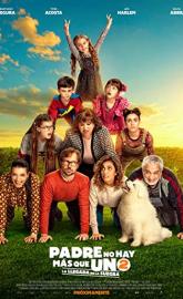 Padre no hay más que uno 2: La llegada de la suegra poster