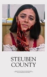 Steuben County poster