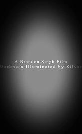 Darkness Illuminated by Silver poster