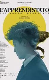 The Young Observant poster