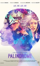 Palindrome poster