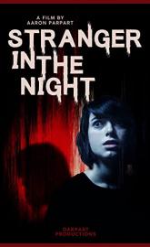Stranger in the Night poster