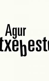 Agur Etxebeste! poster