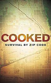 Cooked: Survival by Zip Code poster