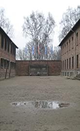 Made in Auschwitz: The Untold Story of Block 10 poster