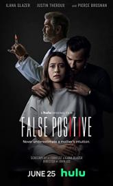 False Positive poster