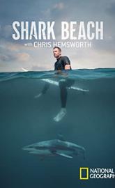Shark Beach with Chris Hemsworth poster
