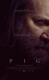 Pig poster