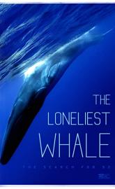The Loneliest Whale: the Search for 52 poster