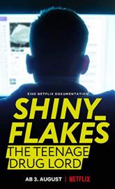 Shiny_Flakes: The Teenage Drug Lord poster