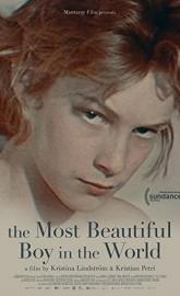 The Most Beautiful Boy in the World poster