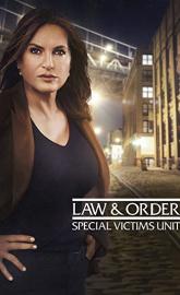 Law & Order: Special Victims Unit poster