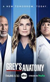 Greys Anatomy poster