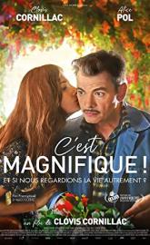 C'est magnifique ! poster
