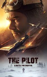 The Pilot. A Battle for Survival poster
