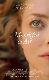 A Mouthful of Air poster