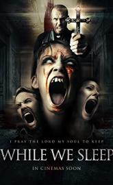 While We Sleep poster