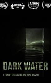 Dark Water poster