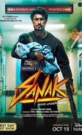 Sanak poster