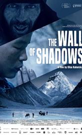 The Wall of Shadows poster
