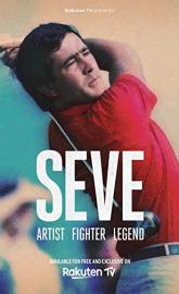 SEVE Artist Fighter Legend poster