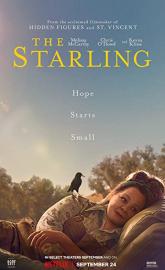 The Starling poster