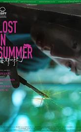 Lost in Summer poster