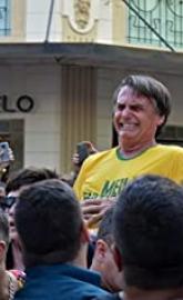 Bolsonaro e Adélio - Uma Fakeada no Coração do Brasil poster