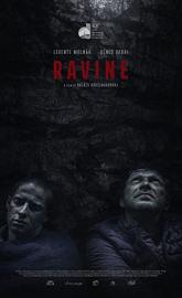 Ravine poster