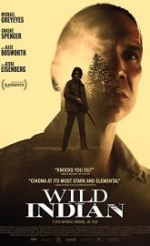 Wild Indian poster
